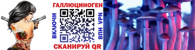Галлюциногенные грибы Psilocybine cubensis  закладка  Катав-Ивановск 
